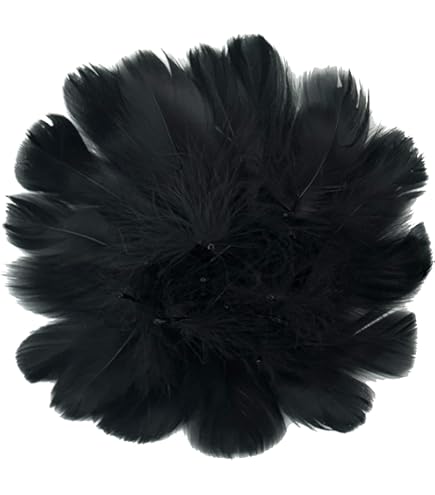 Amazon | 羽・羽根・装飾・パーツ・フェザーマラボー小（10枚）黒